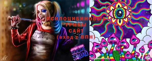 ALPHA PVP Беломорск