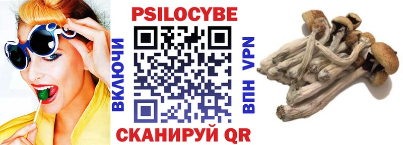кракен ссылки  магазин продажи наркотиков  Балтийск  Галлюциногенные грибы Cubensis 