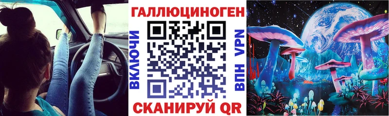 Галлюциногенные грибы Cubensis Балтийск